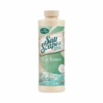 BioGuard SaltScapes Algae Remover: effective at killing green, blue-green, black and mustard algae and compatible with all surfaces/filters.